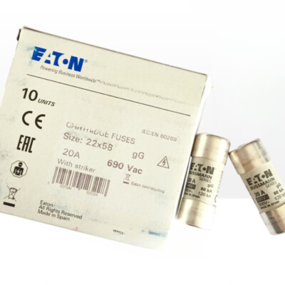 1PC NEW Fuse C22G100 #YX