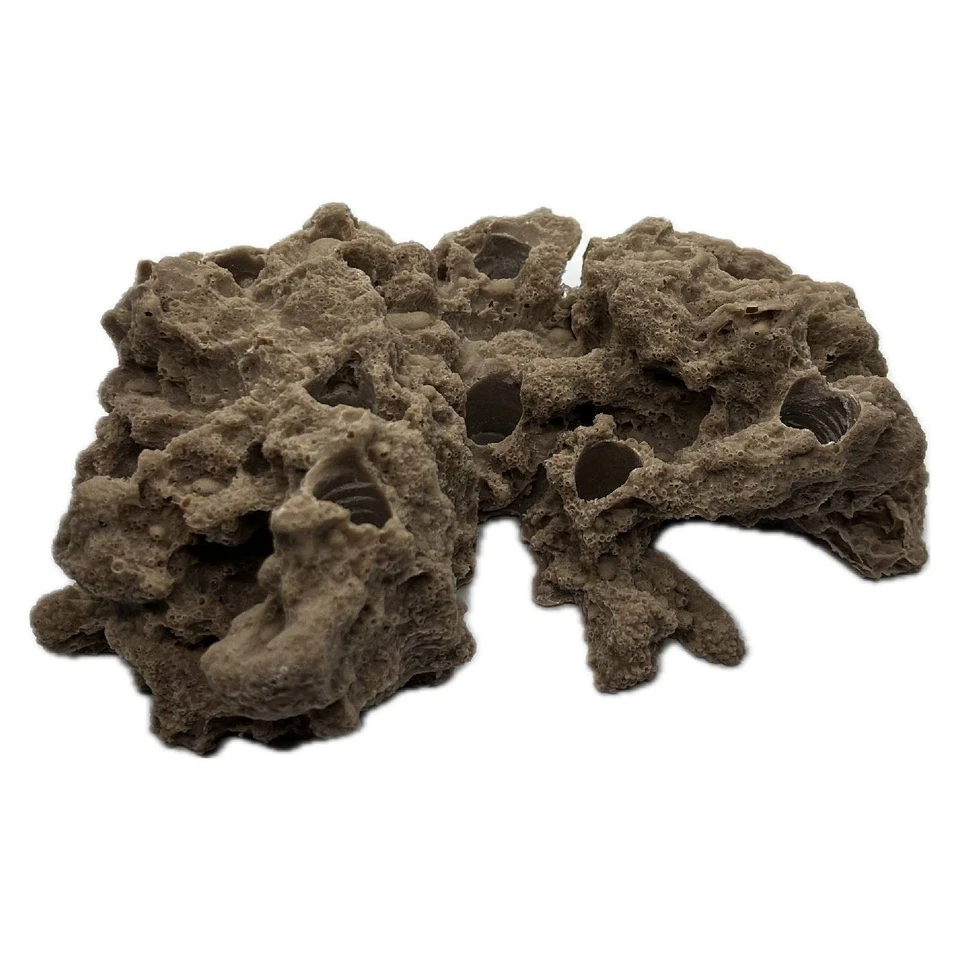 8 Hole Sandbed Frag Rack/Rock base for Live Coral Plug Ons - Image 2 of 4