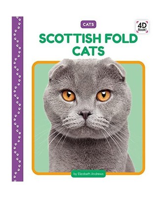 Scottish Fold Cats, Elizabeth Andrews