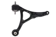 Track control arm DELPHI TC1985