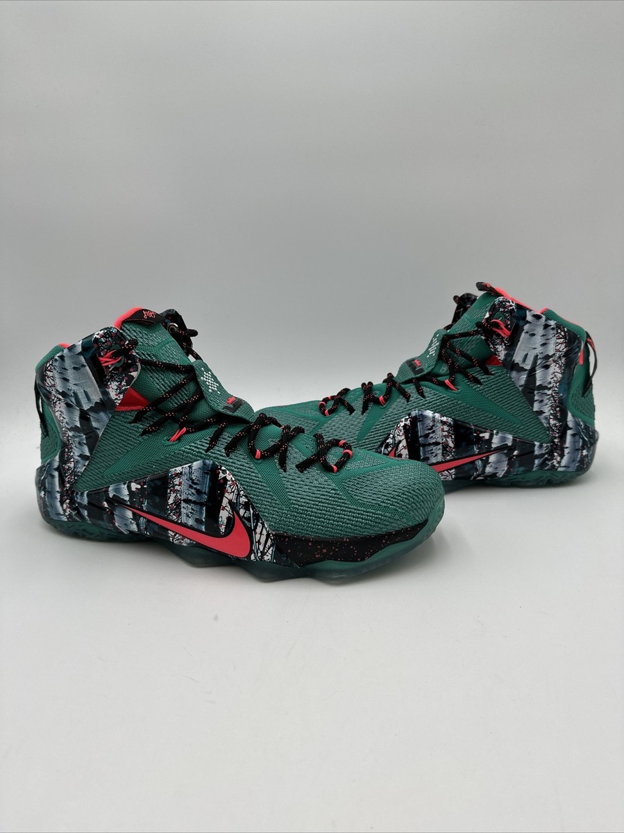 Nike LeBron 12 Xmas Akron Birch 2014 Size 12.5 Used 707558-363 | eBay