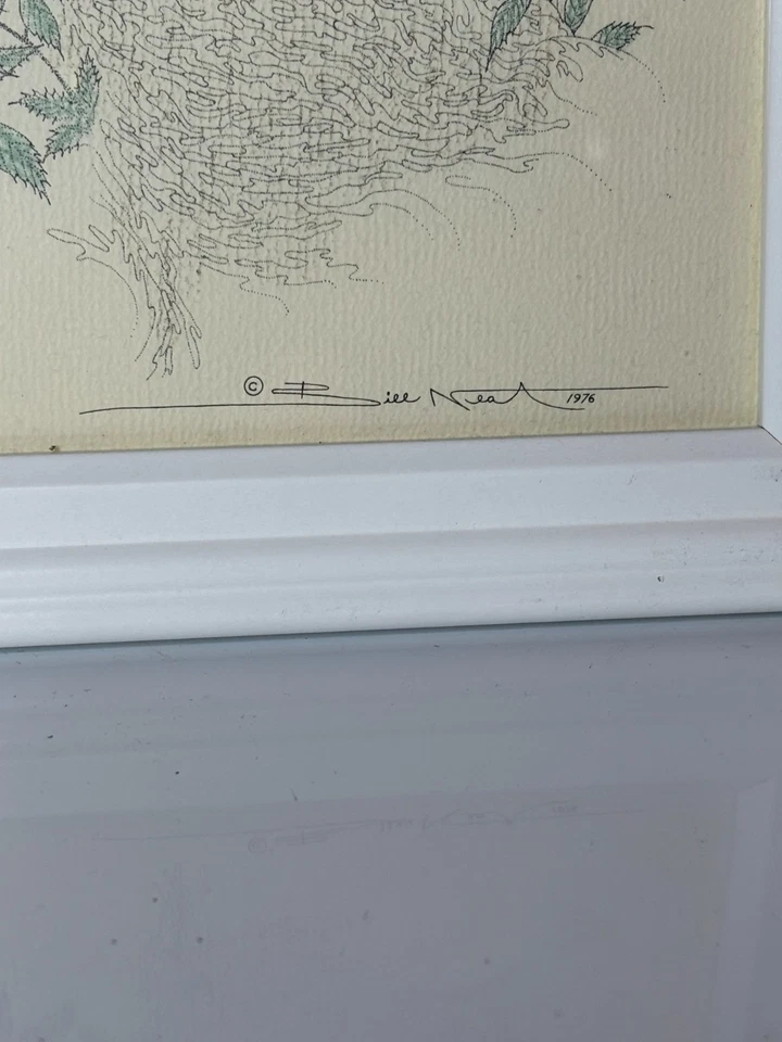 Boceto artístico vintage años 70 Bill limpio tinta dibujo mapache bosque animal enmarcado 8x10 Foto 3 de 4