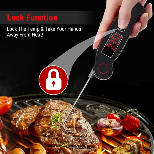 ThermoPro TP19 Meat Thermometer