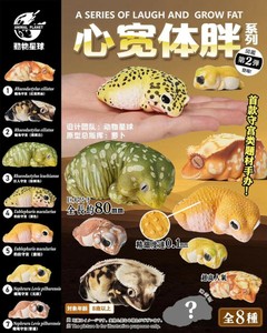 reptilia pet shop