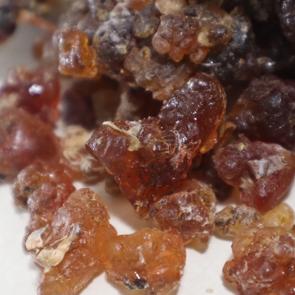 Incienso Premium de resina de mirra Commiphora Kua de primer grado Socotra, Yemen (8 oz.) Foto 3 de 4