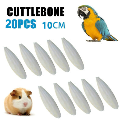 3.94Inch 10/20PCS Calcium Cuttlebone Cuttlefish Sepia/Cuttle/Fish/Bird Bone