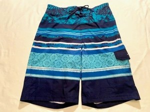 Speedo Size S BOLD Stripe Board Volley Shorts -  Navy Blue/Aqua/Blue/White