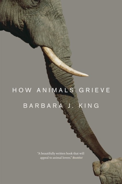 How Animals Grieve by Barbara J. King (Paperback Book)
