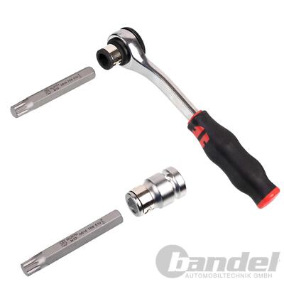 WÜRTH ZEBRA XZN TX BIT-SET mit KNARRE & 1/2