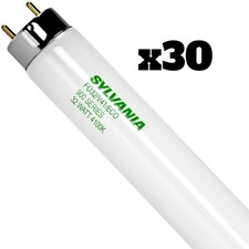 30 Led Vancesylvania T8 Bulbs - Fo32841eco - Medium Bi-pin - 4100k White 30 Led Vancesylvania T8 Bulbs - Fo32841eco - Medium Bi-pin - 4100k White