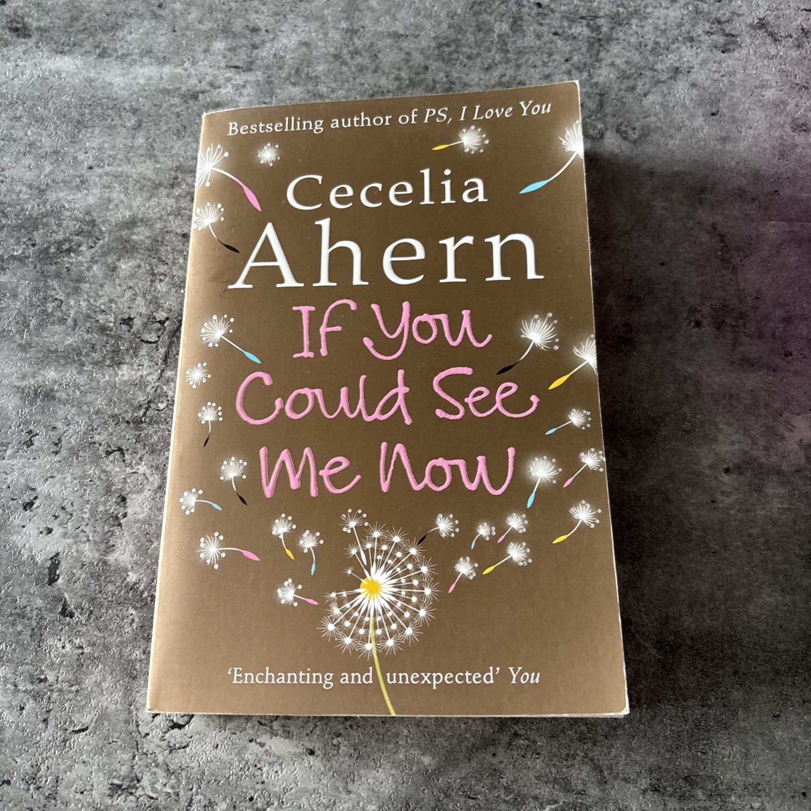 If You Could See Me Now - Cecelia Ahern
