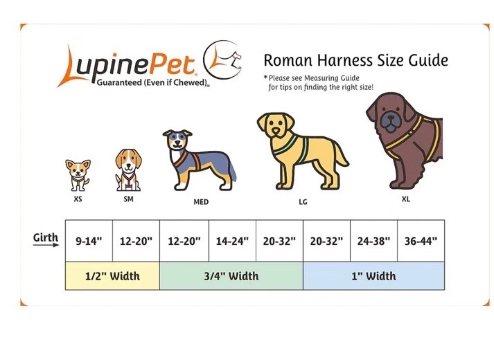 Lupine Originals Step in Harness Flower Power 1”  LARGE 24”-38” USA Made - Image 4 of 4