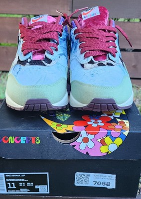 Nike Air Max 1 Concepts Mellow, Dn1803-300, Size 11, Brand New,
