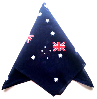 New 100% Cotton 2 Colors In Half Paisley Bandanas Scarf Punk Hip Hop - Foto 10