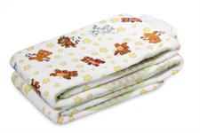 *2 PC* Crinklz Special needs / Adult Printed diaper sampler