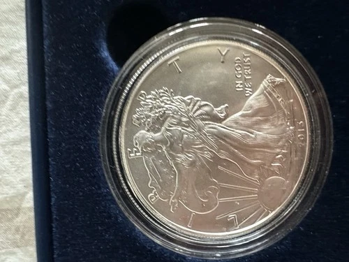2013-W American Eagle One Ounce Silver Uncirculated Coin (incl capsule+box+COA)