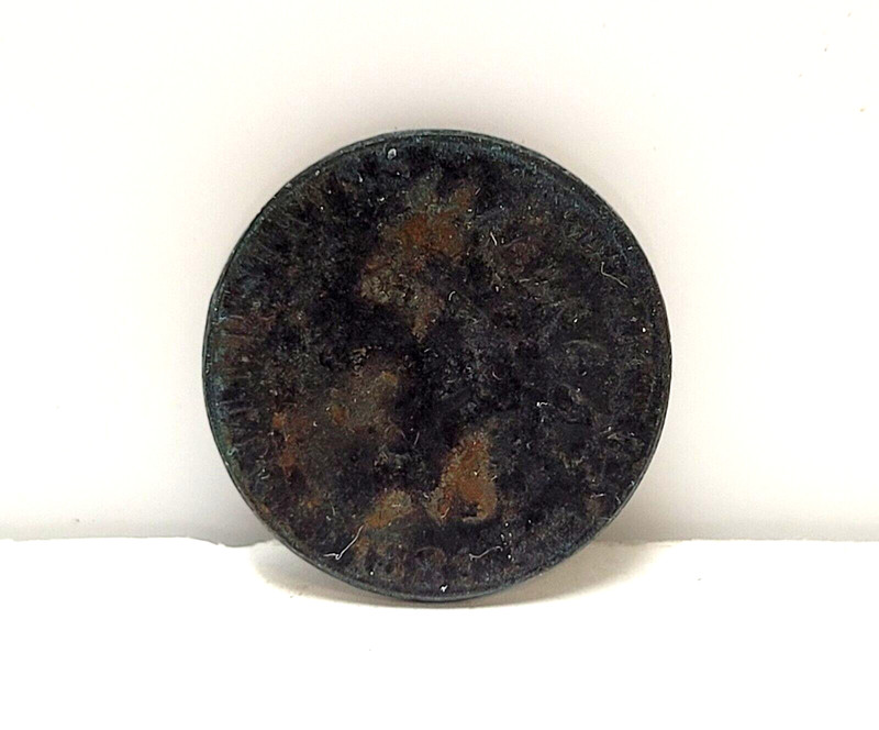 1881 Indian Head Penny Environmentally Altered Ungraded Uncertified