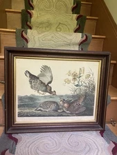 J.J. Audubon Pinnated Grouse Plate No38 Howell 1834 Decoy & Bird Lover Box Frame