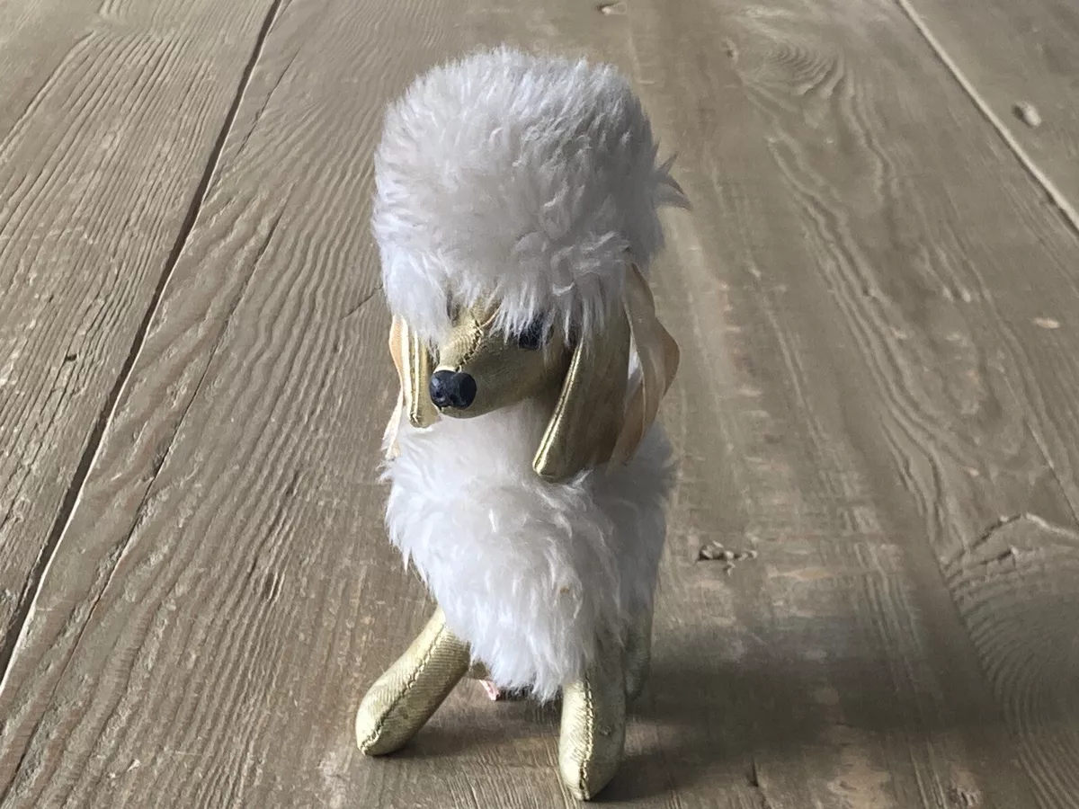 Toy poodle gold 2025