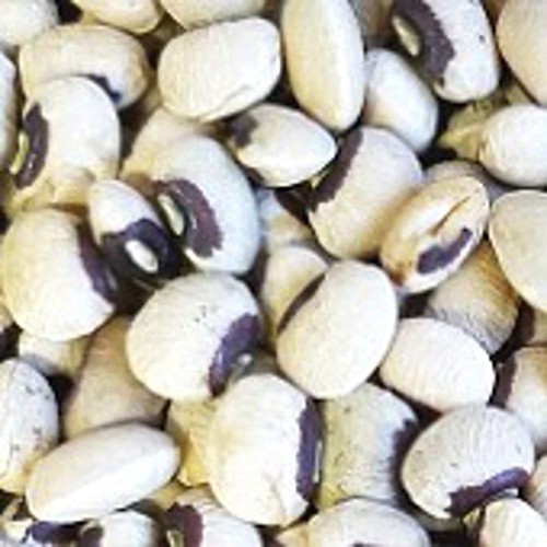 Top Pick Pinkeye Peas - Berlin Seeds
