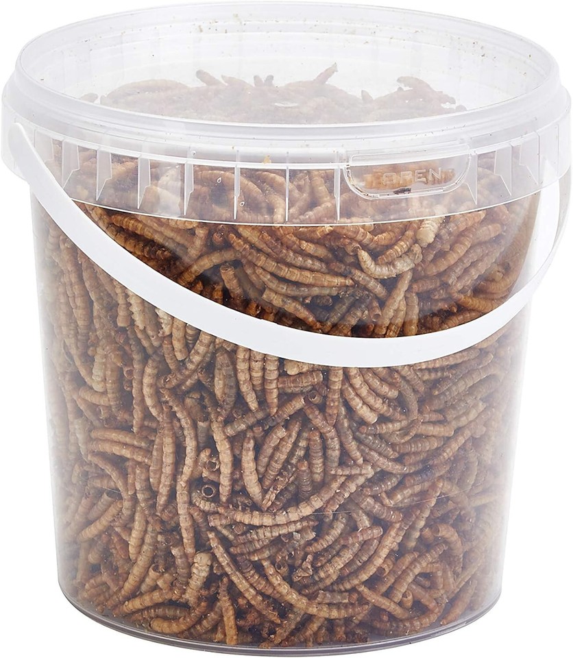 Dried Mealworms 5L Premium Quality Wild Bird Food Reptile Hedgehog Koi
