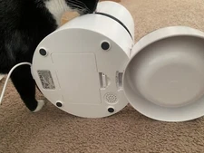 automatic feeder cat