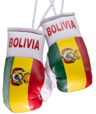 Bolivia Bolivian Flag Mini Boxing Gloves Travel Souvenir Gifts