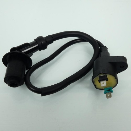 Pompe Essence Moto Pompe Carburant 16800-GFM-B20 Pour WH110T