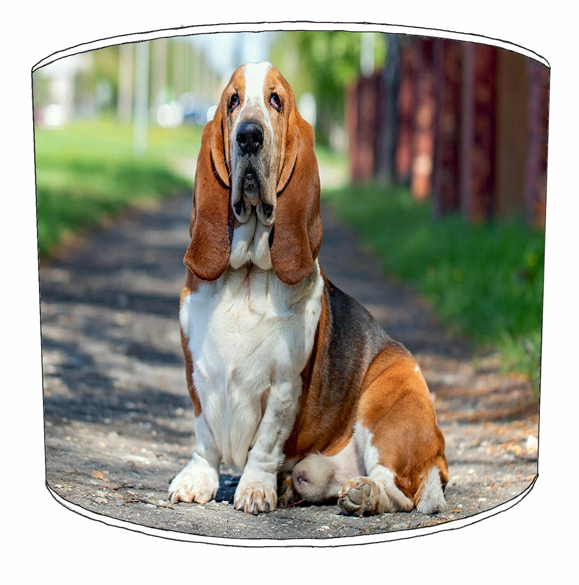 Basset hound lamp deals