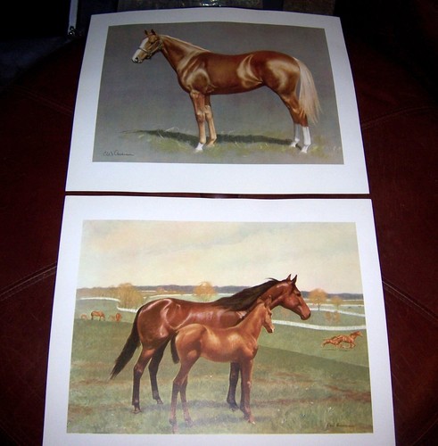 The World of Horses - 8 Vintage Horse Art Prints - C.W. Anderson - Picture 2 of 6