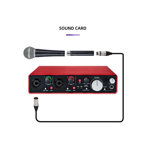 Professional Microphone Gainer +28DB 48V Phantom Power For Stage Performance - Picture 10 of 14