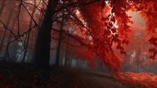 Landscape forest nature trees outdoors ground sunlight Custom Gaming Mat Desk
