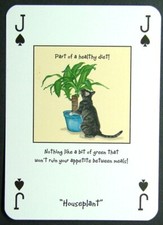 1 x playing card Magnificent Moggies Cat Houseplant Jack of Spades