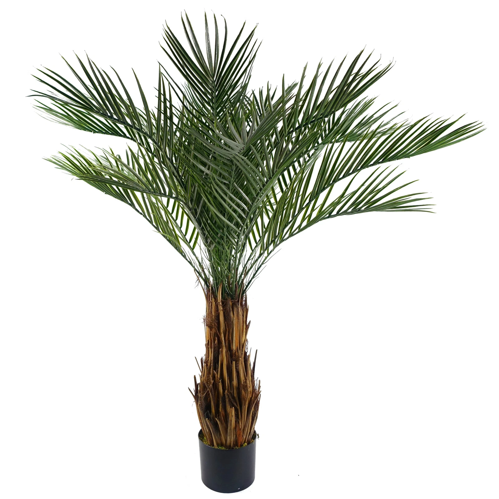 120cm UV Cycas Palm 40560