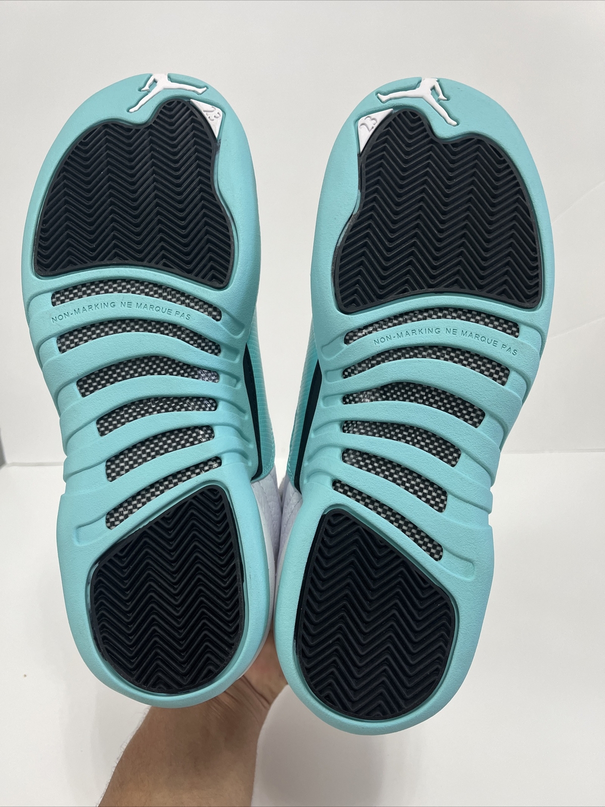 teal jordan 12s