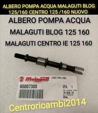 ALBERO POMPA ACQUA MALAGUTI BLOG CENTRO 125 /160 ORIGINALE 65007300 
