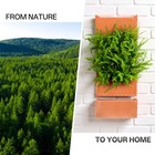 Terracotta Self Watering Wall Pots for Indoor Plants, Hanging Planters for In...
