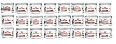 ROYAL CANIN Vet dog/cat recovery Nassfutter 24x195 g