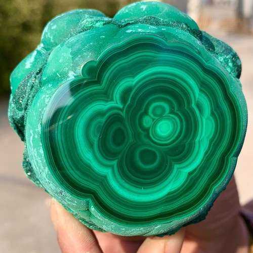 1.39LB Natural glossy Malachite transparent cluster rough mineral sample - 第 3/13 張圖片