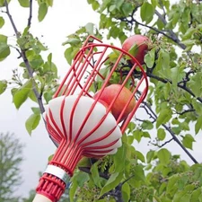 Fruit Picker Harvester Basket With Cushion To Prevent Bruising Easily Reach Tool