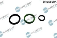Original Dr.Motor Automotive Reparatursatz Pumpe-DüSe-Einheit DRM005RK FüR Audi