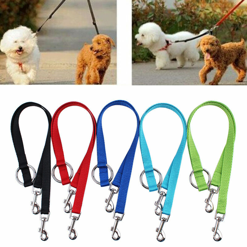 2 dog walking leash
