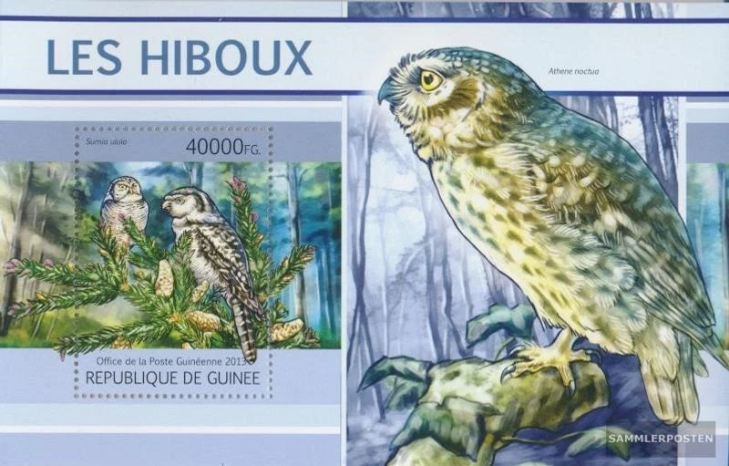 Briefmarken Guinea 2013 Mi Block 2207 (kompl. Ausgabe) postfrisch Eulen (Surnia  - Bild 1 von 1