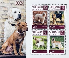 SOLOMON ISLANDS DOGS STAMPS MNH 2014 MNH TERRIER CHIHUAHUA ANIMALS PET DOG 1