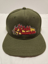 New World Industries Skateboard Company Flameboy Green Snapback Hat