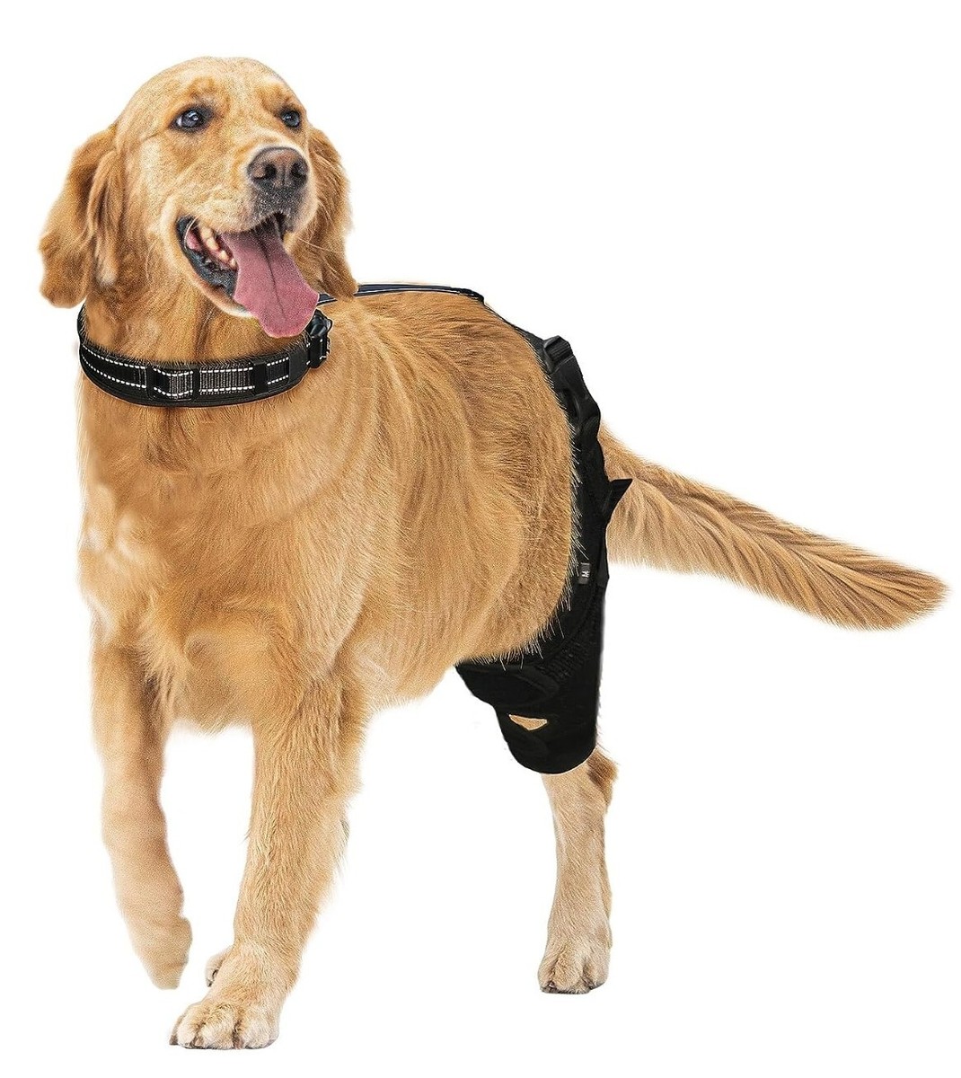 CAMRIER Dog Knee Brace for Support with Cruciate Ligament Injury