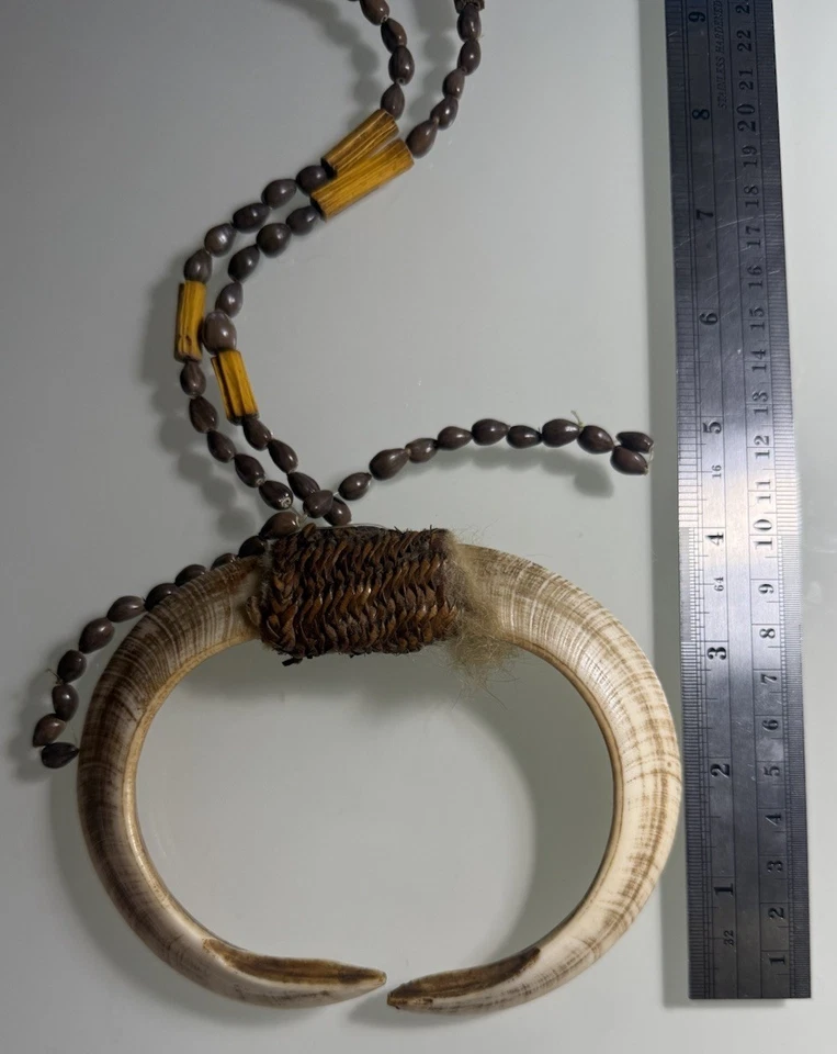 Papúa Nueva Guinea, Colmillo de Jabalí, Collar, Obra de Arte Tribal Nativa Foto 3 de 4
