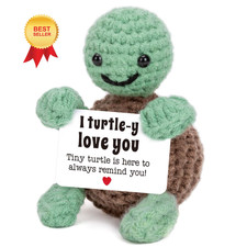 Mini Funny Turtle Valentines Day Gifts for Him Her, Small, Green and Brown