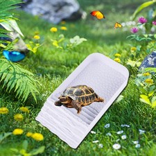 Tortoise Water Dish Reptile Water Bowl Tortoise Feeder