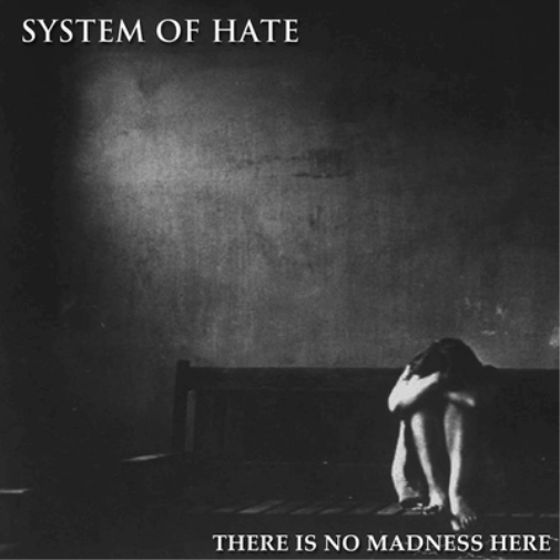 System of Hate There Is No Madness Here (Vinyl LP) 12" Album